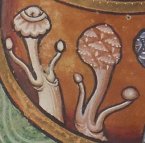 Crop by Michael Hoffman.  Creation of Plants, Great Canterbury Psalter f11 row 1 Right.